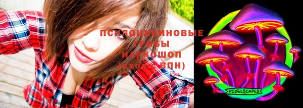 винт Армянск