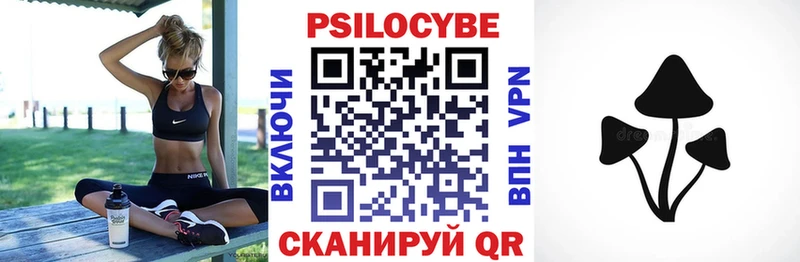 дарк нет официальный сайт  купить закладку  Бакал  Галлюциногенные грибы Psilocybe 